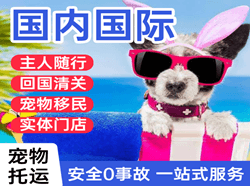 上海航空运输国际宠物托运 【国
